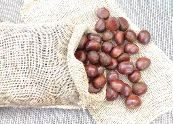 new crop chinese chestnuts supplier