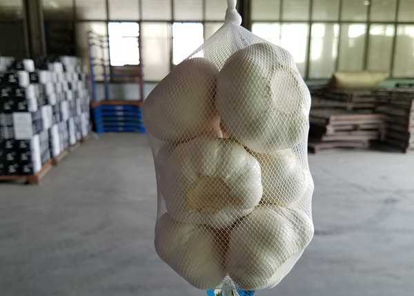 2023 china small garlic/buyer of garlic