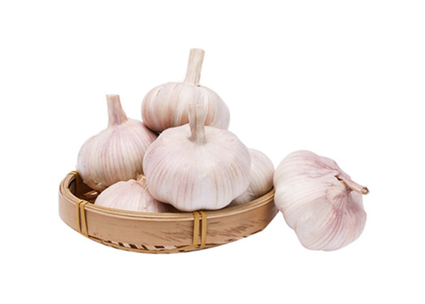 chinese garlic new harvest fresh normal white garlic 5-6cm