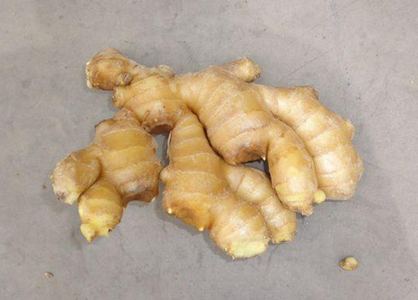 10kg carton air dried ginger