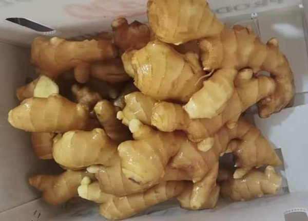 china leading ginger brand air dried ginger 200g up