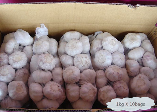 1kg x 10bags-carton red garlic