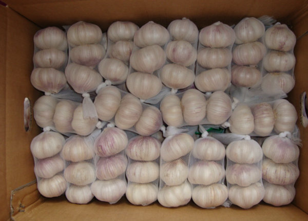 3p 4p 5p 250g 500g small packing white garlic