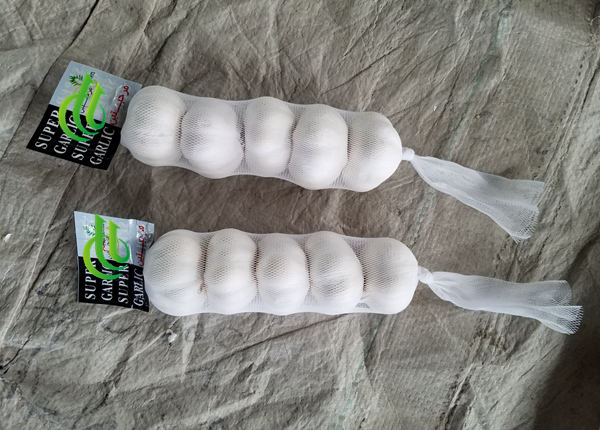 3p 4p 5p 250g 500g small packing white garlic