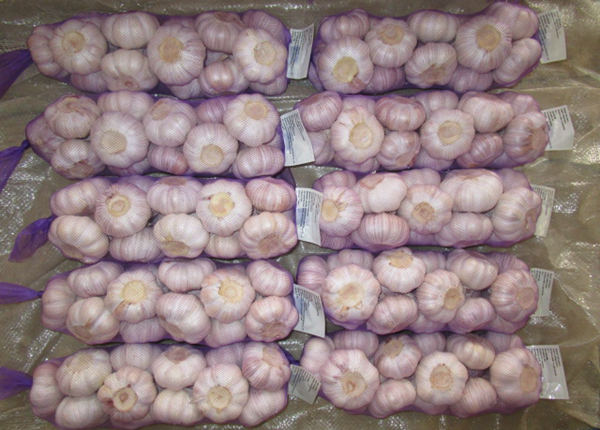 3p 4p 5p 250g 500g small packing white garlic