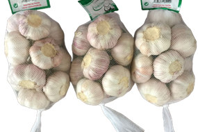 6.0-6.5cm red garlic price in china 500g-1kg