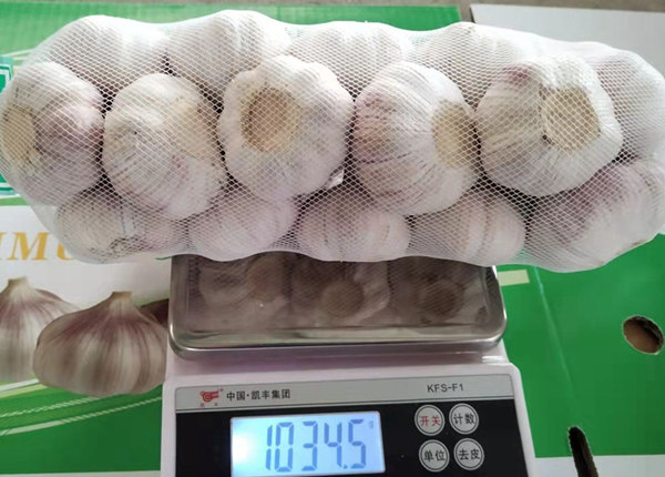 6.0-6.5cm red garlic price in china 500g-1kg