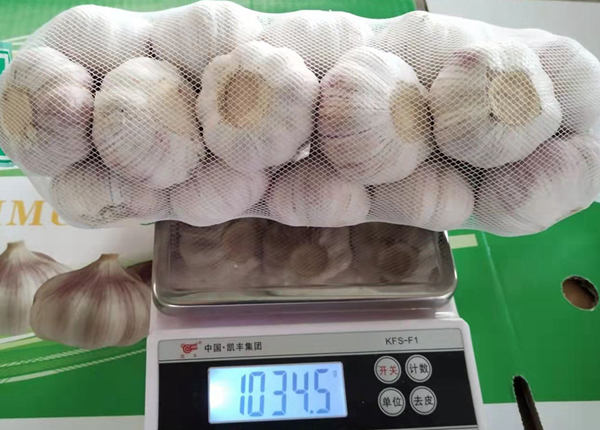 china garlic small package 1kg