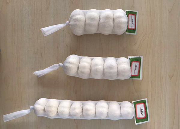 china new fresh garlic pack 3pc,4pc,5pc,6pc,7pc