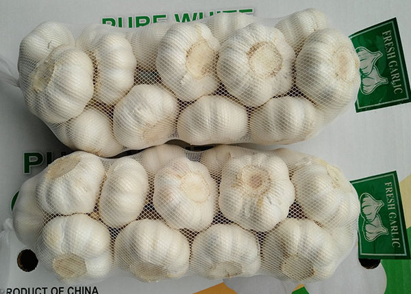 china small garlic or buyer of garlic