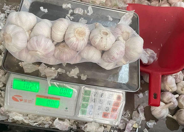 chinese fresh red garlic 1kg per bag