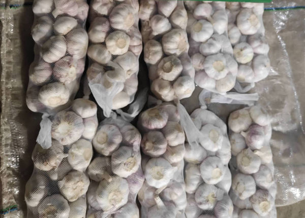 chinese fresh red garlic 1kg per bag