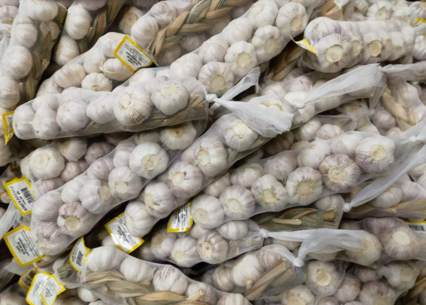 fresh braids garlic in 10kg carton