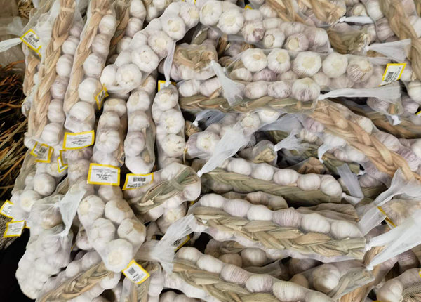 fresh braids garlic in 10kg carton