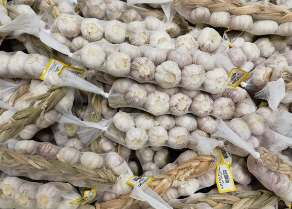 fresh braids garlic in 10kg carton