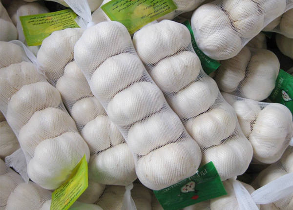 garlic bulb garlic cloves suppliers