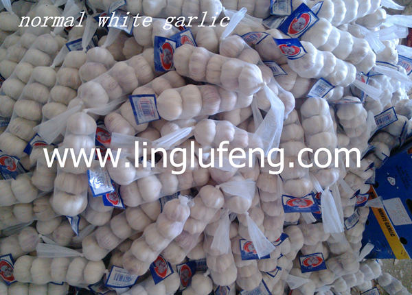 hot selling chinese fresh white garlic