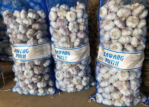 new harvest fresh garlic china factory wholesale