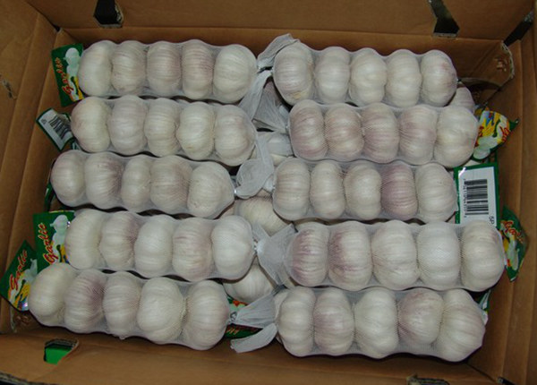 new-season-garlic-red-garlic-normal-white-garlic