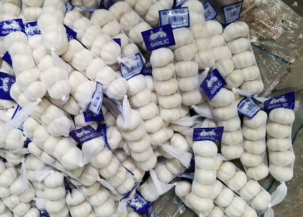 pure white garlic 4p 5p /200g/ 250g/10kg mesh bag/ box