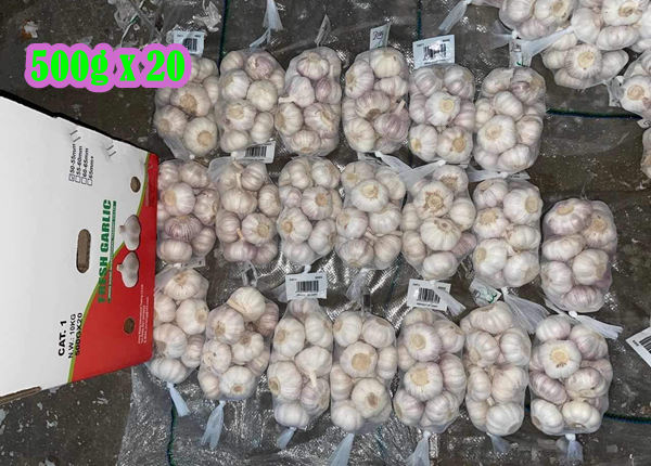 shandong garlic orangic garlic 500g net per bag