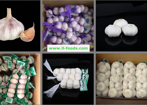 wholesale garlic price from garlic suppliers